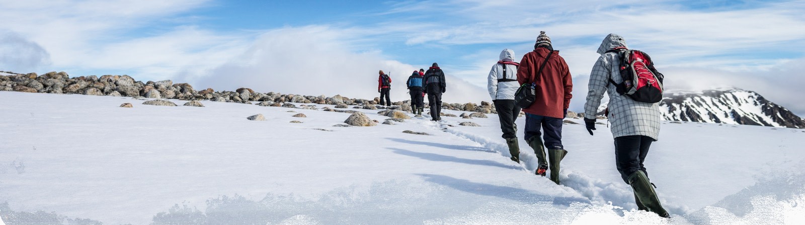 Actividades en Cruceros de Expedición Polar